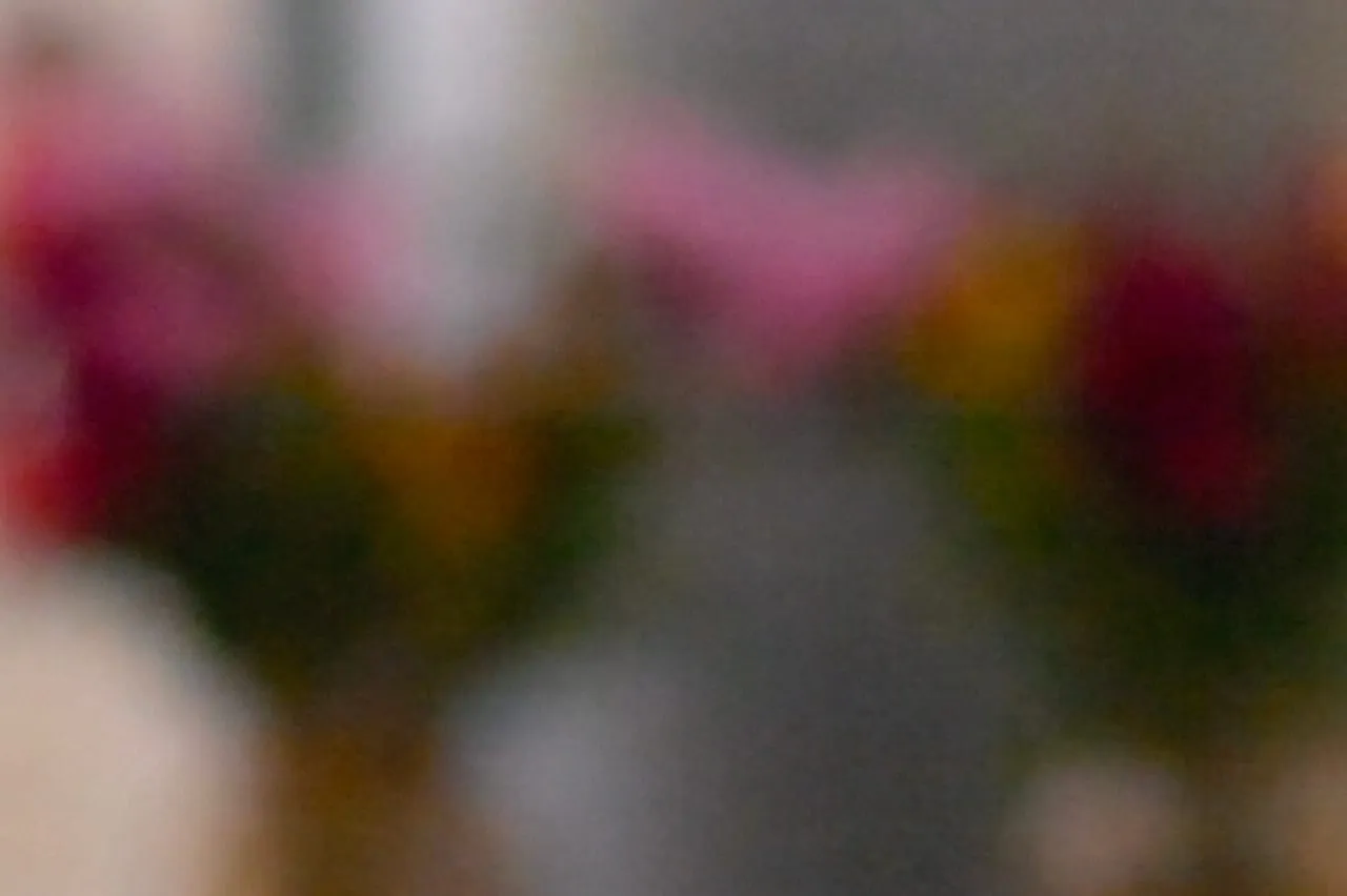 Colorful flowers photographed in soft focus.