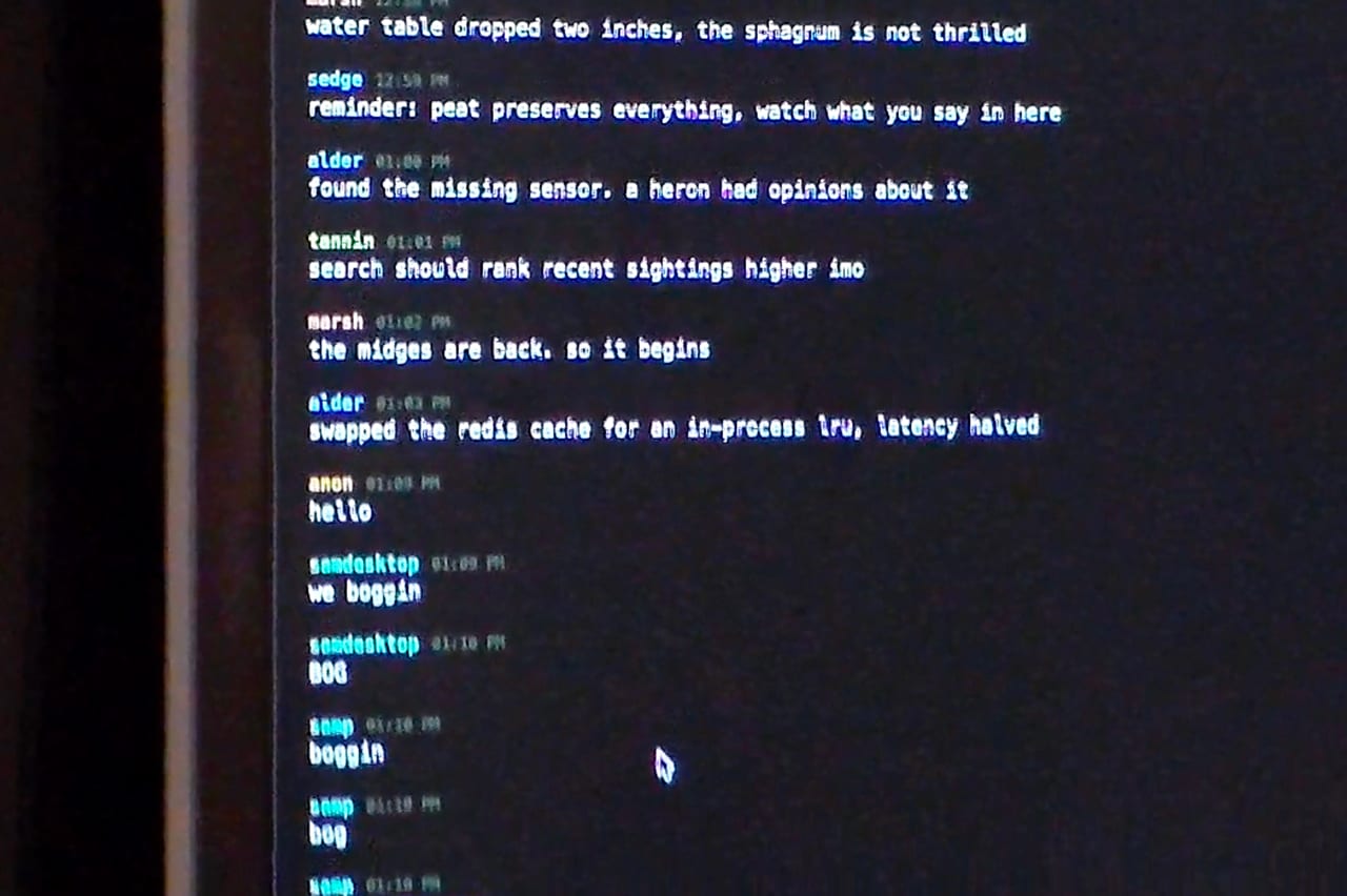 Terminal output from a Bogathon project.