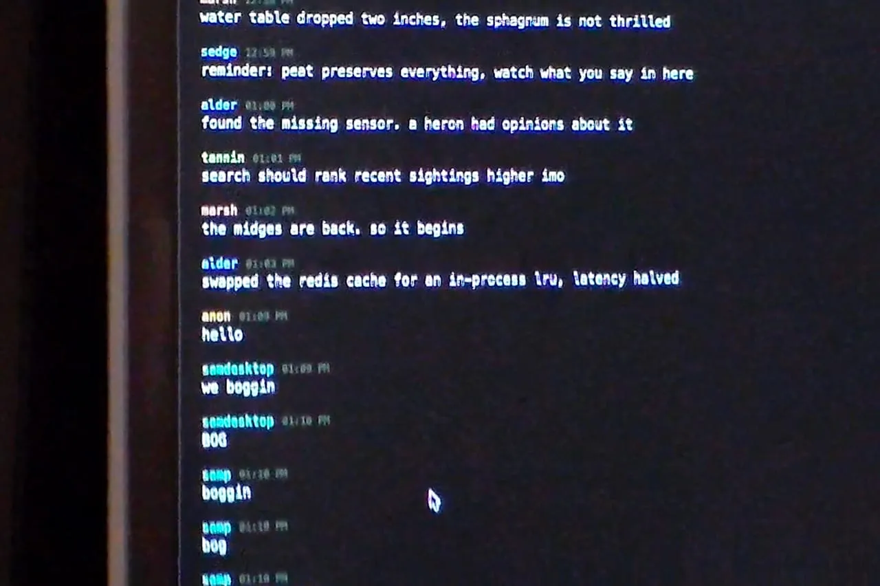 Terminal output from a Bogathon project.