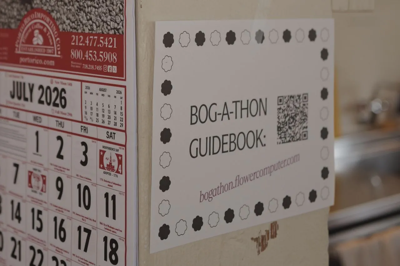 Photograph from Bog-a-thon 2.