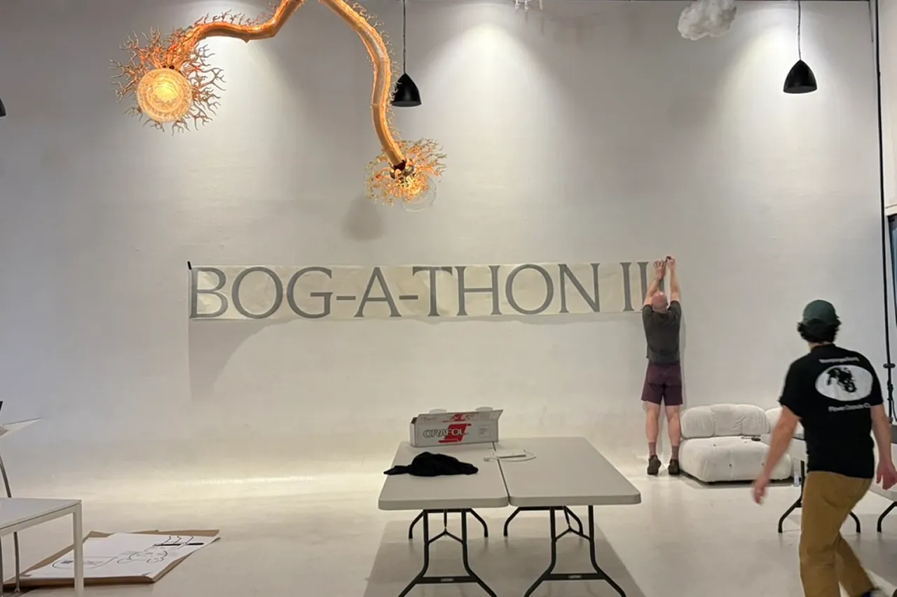 Photograph from Bog-a-thon 3.