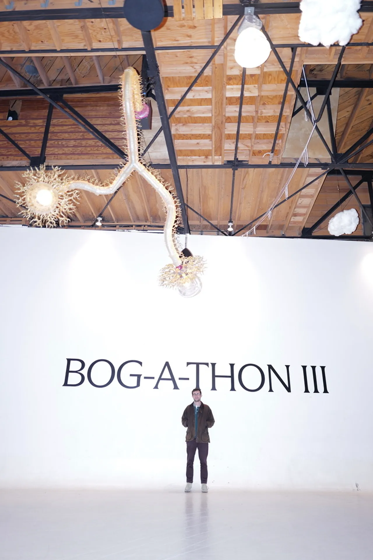 Photograph from Bog-a-thon 3.